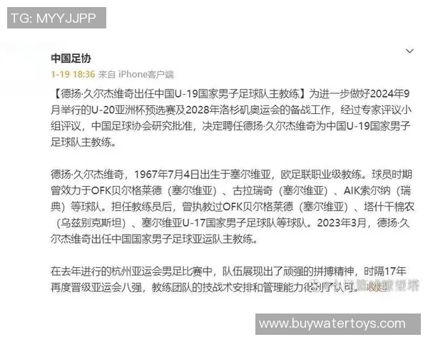 久尔杰维奇有望接任新一届国青队主帅职务